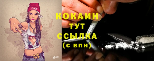 сатива Балахна