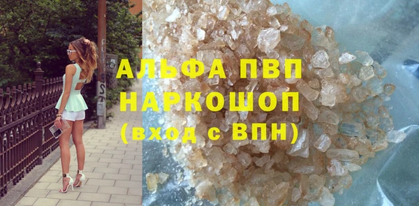 сатива Балахна