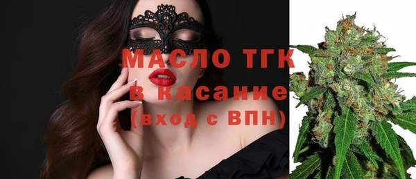 сатива Балахна