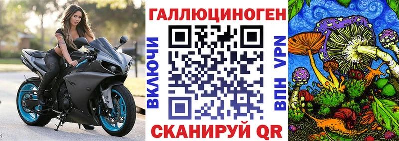 купить закладку  Бологое  Псилоцибиновые грибы мухоморы 